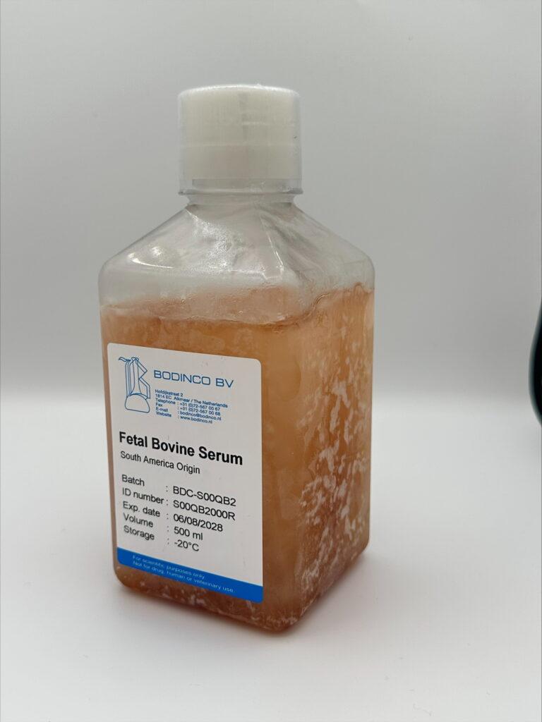 Foetaal Bovine serum